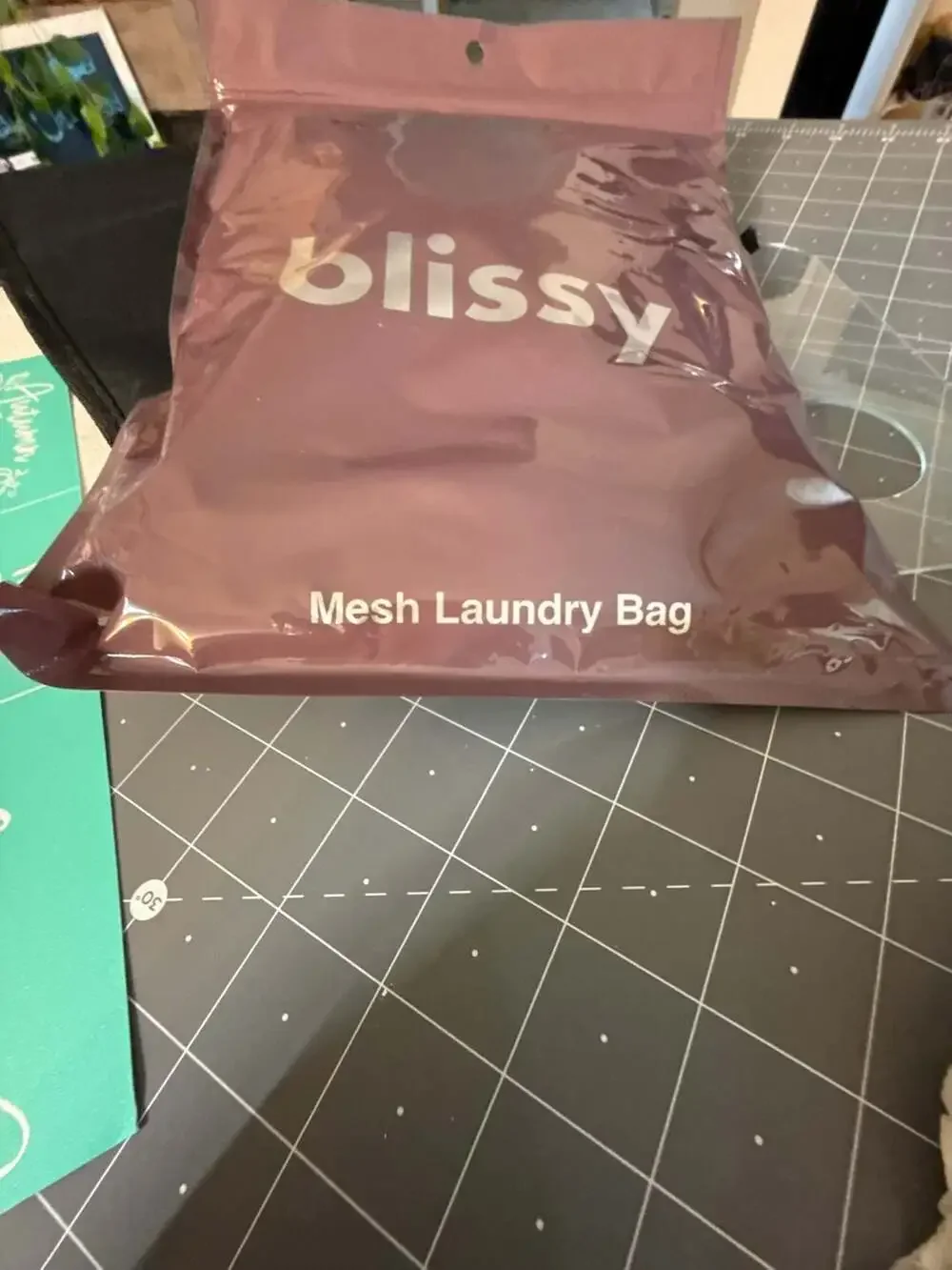Blissy Mesh Laundry Bag